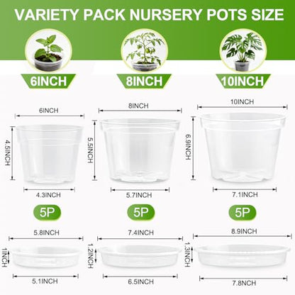 6/8/10 Inch Clear Nursery Pots with Saucers and 15 Pack Plant Labels,Transparent Plastic Plant Pots with Drainage Holes,Sturdy Seed Starter Pots for Succulents,Herbs,Flowers,Indoor Outdoor Plants - size: 6+8+10 Inch