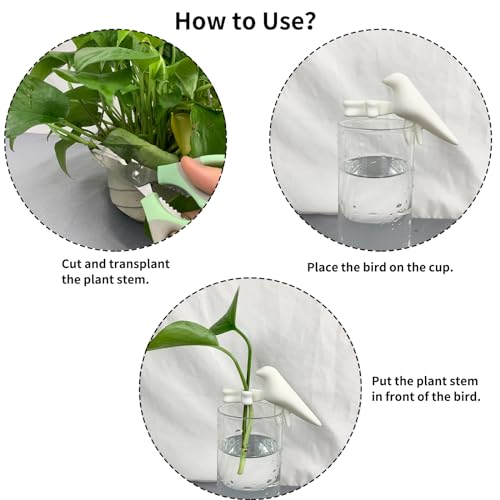 Plant Propagation Station-Plant Support for Cuttings, Shoots, Stems, and Sprouts, Plant Stem Support,Plant Propagation Buddy,2 Cute Gardening Gifts for Women,Propagation Vases for Plants. (2, White)