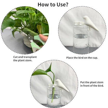 Plant Propagation Station-Plant Support for Cuttings, Shoots, Stems, and Sprouts, Plant Stem Support,Plant Propagation Buddy,2 Cute Gardening Gifts for Women,Propagation Vases for Plants. (2, White)