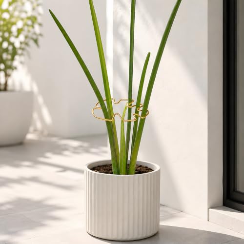 Yohsnor Set of 5 Monstera Plant Stem Support-4.13x2.95in Gold Stem Holder - color: Gold, size: 4.13IN*2.95IN
