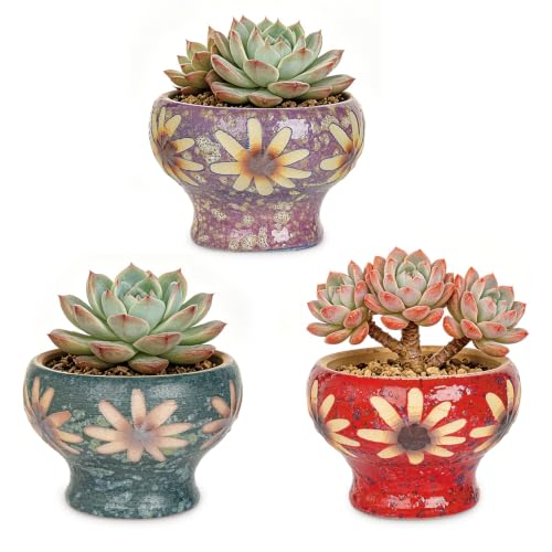 Sungmor Small Succulent Planters Set of 3, Beautiful Hand Crafted Ceramic Plant Pots Cute Cactus Pot, 4.9 Inch Flower Pots for Indoor Plants with Drainage, Desktop Windowsill Home Office Decor Pots | Beautiful Hand Crafted Ceramic Plant Pots Cute Cactus P