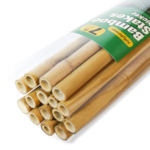 Jollybower 15pcs 3/4" D Thicker Heavy Duty Bamboo Stakes, 7FT Plant Stakes, Natural Garden Stakes for Tomato, Bean, Flowers,Trees Potted and Climbing Plant Support - size: 7Ft, Pack of 15