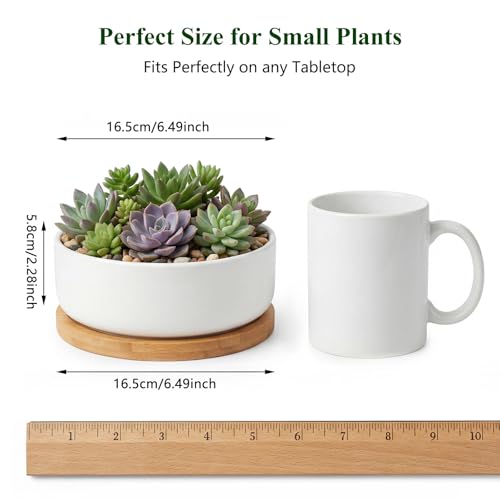 ZOUTOG Succulent Pots,6 Inch Succulent Planters with Drainage and Tray,White Ceramic Planters for Indoor Plants,Round Flower Plant Pots,Pack of 4 - color: 4 Pack