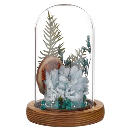 BENECREAT Glass Cloche Dome with Wood Base, 4.65x2.6inch Arch Display Dome for Plants and Collectibles, Complete Set Glass Bell Jar with Solid Wood Stand for Home Decor, Coconut Brown - color: Coconut Brown, size: Inner: 4.65x2.6 Inch