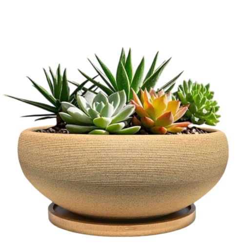 MUZHI 6 inch Succulent Pot - Unglazed Ceramic Bonsai Pot with Bamboo Tray, Rustic Pottery Cactus Planter with Drainage Hole Indoor Outdoor - size: 6.8"