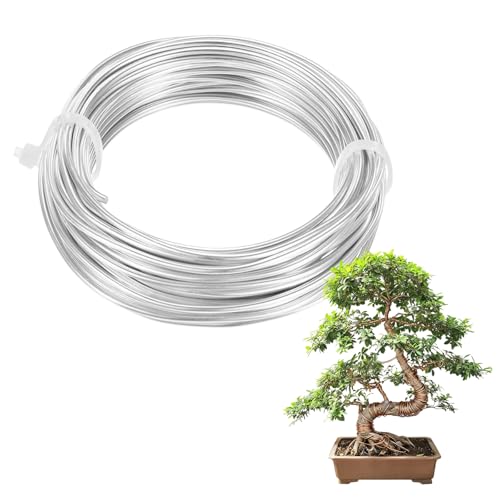 M METERXITY 1-Pack Bonsai Training Wire, 2mm x 33ft/10m Anodized Aluminum Bonsai Tree Wire for Gardening Branch/Fine Trunk/DIY Crafting [Silver Tone] - color: Silver Tone, size: 2mm