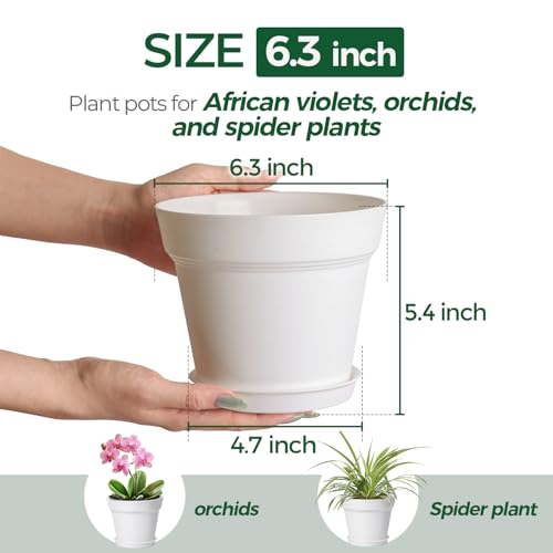 T4U Plant Pots Indoor 6 Inch 8 Pack, Plastic Flower Pots with Saucer White | Peace lily spider ivy, Kitchen windowsill shelf, Houseplant herbs basil, Durable lightweight - color: White, size: 6 inch
