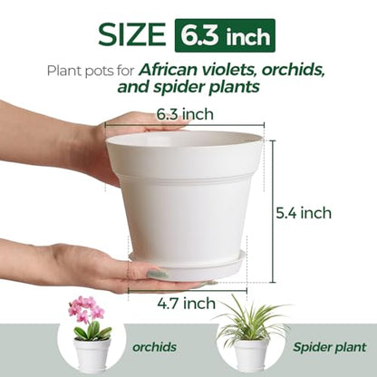 T4U Plant Pots Indoor 6 Inch 8 Pack, Plastic Flower Pots with Saucer White | Peace lily spider ivy, Kitchen windowsill shelf, Houseplant herbs basil, Durable lightweight - color: White, size: 6 inch