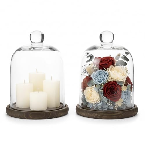 MyGift Clear Cloche Glass Dome, Display Bell Jar with Top Handle and Rustic Brown Solid Wood Base, Set of 2