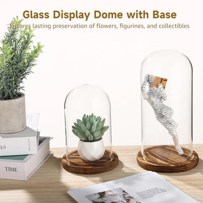 2 PCS Glass Cloche Display Dome with Wooden Base, 7.5/10 Inch Glass Display Cloche Dome, Clear Glass Dome Showcase for Flowers, Art Pieces, Collectibles, Keepsakes, Home Office Decor (2PCS)