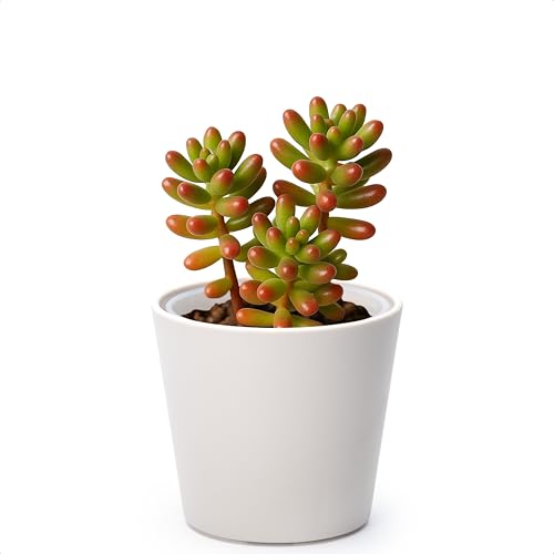 Phoenix Vine 4.5 Inch Oatmeal Plastic Cachepot with Clear Nursery Pot, Decorative Lightweight Planter Cover with Transparent Inner Pot for Indoor Houseplants, Pack of 1, 24-B-G-1 - color: Oatmeal, size: 4.5" (1 Pack)