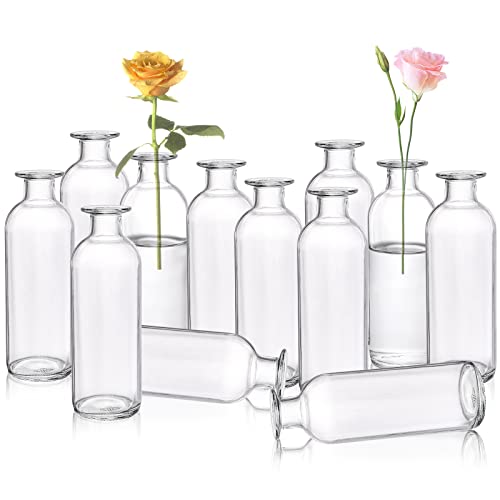Peohud Set of 12 Glass Bud Vases, Clear Small Flower Vases, Decorative Glass Bottles Floral Vases for Home Decor, Wedding Reception, Party - size: 5 cm x 16 cm