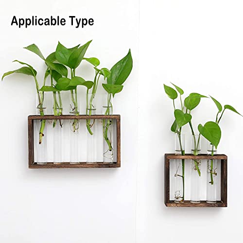 Kingbuy 3 Pack Glass Test Tube Propagation Vase Hydroponic Cuttings Planter