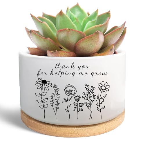 Thank You Gifts for Teacher, Succulent Plant Pot (Plants Not Included) | Ceramic Flower Planter, Teacher Appreciation Gifts for Teachers Day, Thank You for Helping Me Grow - style: Thanks for helping me grow