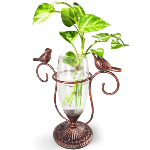 Desktop Plant Propagation Station, Plant Terrarium with Metal Stand | Air plants water plants terrarium, unique gardening birthday gifts for plants lovers, office room kitchen living room decor - color: Copper Bird, size: 7.1"×6.6"