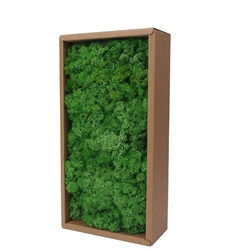 Preserved Reindeer Craft Moss-17.6oz Natural Green DIY Kit Gardenning Art Wall Florist Moss Terrariums Gardenning Decor Landscape Garden Decor(Green 17.6 OZ) - color: GREEN, size: 1.1LB