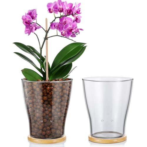 Baderke Glass Orchid Pots with Holes and Bamboo Tray Glass Pot Water Level Control Semi Hydroponic Transparent Root Transparent Indoor Orchid Planter for Home Indoor Outdoor Plant Lovers (6 Inch) - size: 6 Inch