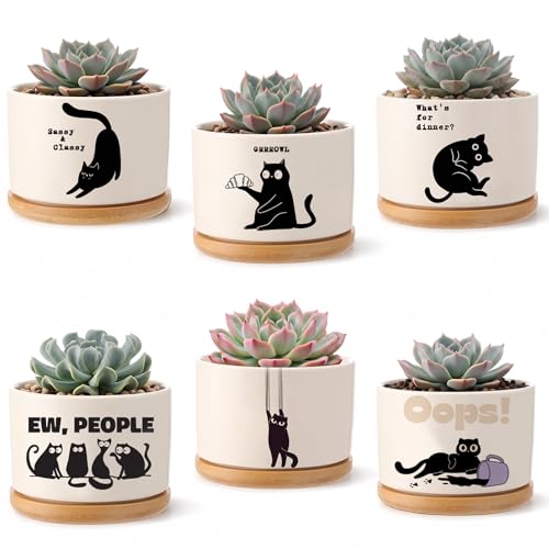6 Pcs Black Cat Succulent Planters Cute Ceramic Succulent Pots Bamboo Tray Funny Office Gifts for Cat Lovers Coworker Volunteer Nurse Teacher Mentors Plants Excluded - style: Black Cat