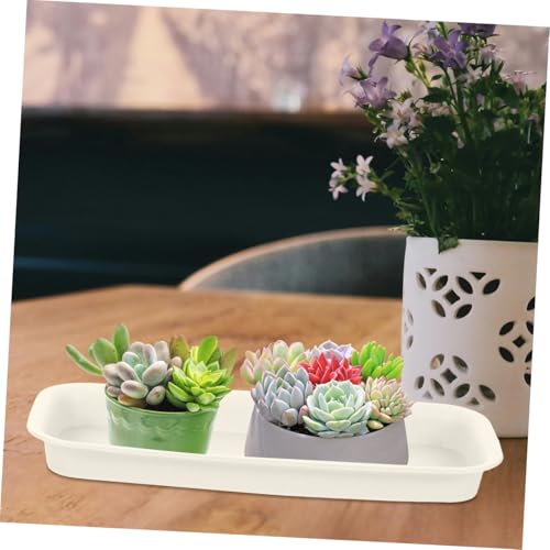 Healeved 3pcs Plastic Flowerpot Trays Rectangular Plant Saucer Elegant Square Plant Water Plate Bonsai Water Trays - size: 24.00X8.50X2.50CM