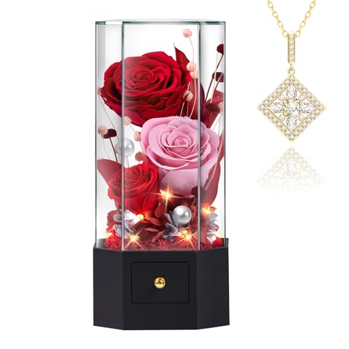 Preserved Rose with necklace Forever Rose for Mom Gift Eternal Flower for Delivery Gift for Women Wife Girlfriend Mom Best Friend, Valentine’s Day Anniversary Birthday - color: Red
