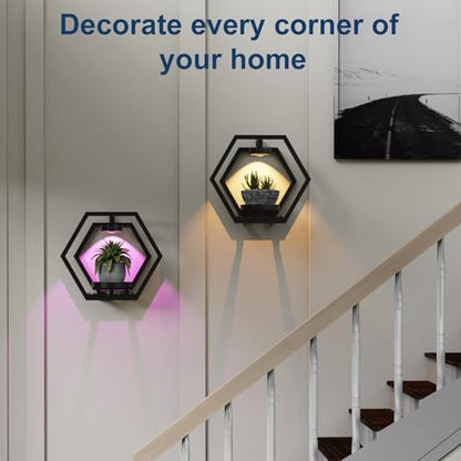 Shineled Wall Planter with Lights, Black Metal Wall Mounted Plant Stand with Adjustable Grow Light, Plant Holder for Indoor Living Room, Patio - 2 Pack