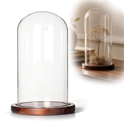 Glass Display Dome with Wooden Base, 4 x 7 Inch