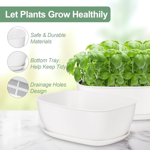 Oliz Set of 4 White Oval Shallow Herb Garden Planters with Drainage Holes and Trays (8.66 Inch) Plant Pots for Herbs Basil Orchids Succulents, Modern Herb Garden Planter for Indoor/Outdoor Plants - size: 8.66 x 6.1 x 3.39-inch