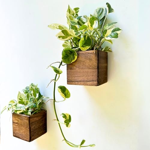 LaLaGreen Wood Planter Box (4x4, 2 Pack) Small Square Indoor Wall Planters - size: 4x4" x 2 pack