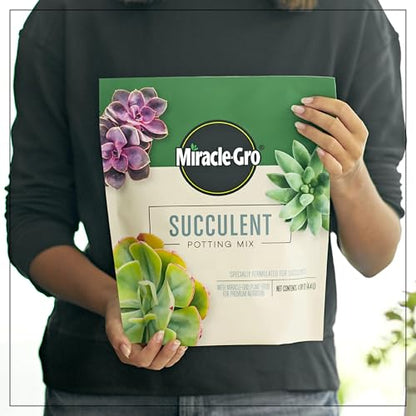 Miracle-Gro Succulent Potting Mix - Potting Soil Mix for Indoor Succulents, Aloe Vera and More, Made with Miracle-Gro Plant Food, 4 qt. (Pack of 10) - size: 10 Pack, style: Succulent