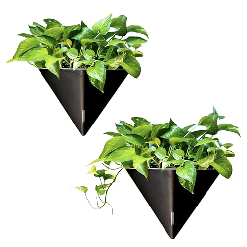 LaLaGreen Indoor Wall Planter (12in, 2 Pack) Black Self Watering Flower Pot