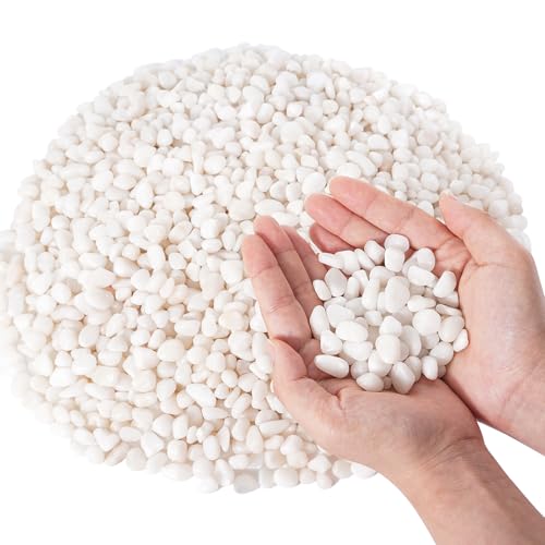 GreatBuddy 10-lb Decorative Rocks for Indoor Plants, 3/8" White Pebbles, Small Rocks for Potted Plants, Succulent, Vases, Aquariums, Fish Tanks, Garden Landscaping, Natural Polished - color: White-10lb, size: Medium-3/8 Inch