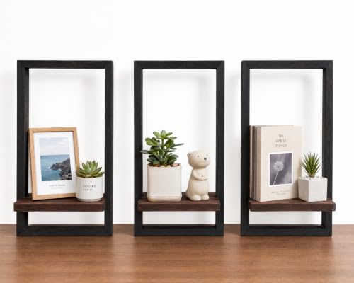Wall Plant Holder for Indoor Plants, Wooden Wall Planter Shelf, Picture Frame Hanging Plant Shelf, Window Plant Shelves for Succulents, Air Plants & Small Pots, Farmhouse Home Wall Decor, 3 Pack