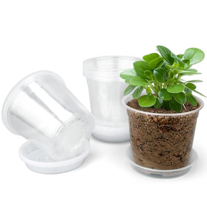 3 Inch Clear Nursery Pots with Drainage Trays, 15 Pack Plastic Pots for Plants, Clear Pot for Seed Starting, Transplanting, Succulents, and Indoor Gardening (3 inch) - size: 3 inch