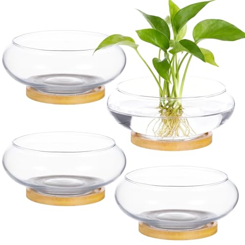 4PCS Lotus Bowl Planter with Wood Tray, 6 Inch Round Glass Vase for Hydroponics, Glass Fish Bowl, Bowl Planter for Plants Indoor Windowsill, Home Decor (4PCS) - color: 4pcs