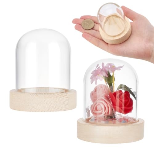 NBEADS 2 Sets Glass Display Dome, 2.42" in Diameter MINI Round Glass Display Dome Glass Cloche Dome Clear Glass Display Dome Cover with Wood Base for Plants Rocks Specimens Decorations Crafts - size: 2.42x2.8"