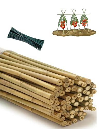 4 Ft Natural Bamboo Stakes with Twist Ties Plant Support Tomato 60 Pack - size: 4 FT-60 PACK & Ties