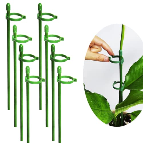 Belit 8 Pack Small Plant Support Plant Stakes, Adjustable Garden Single Stem Support Stake, Planter Support Ring for Orchid, Rose, Peony, Peppers and More, DIY 24 inch - size: 24Inch