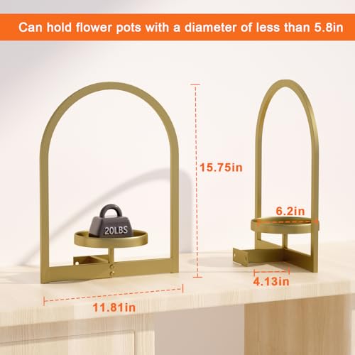 Flenpptly Wall Plant Holder, Wall Planter for Indoor Plants, 2 Pack Gold - size: 2 Pack-Gold