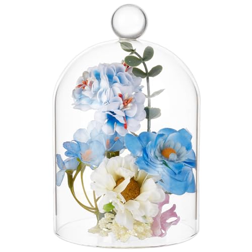 BENECREAT 3.9x6inch Glass Cloche, Dome Bell Jar Display Case for Plants, Figurines, Trinkets, LED Lights and Candles - size: 3.9x6inch