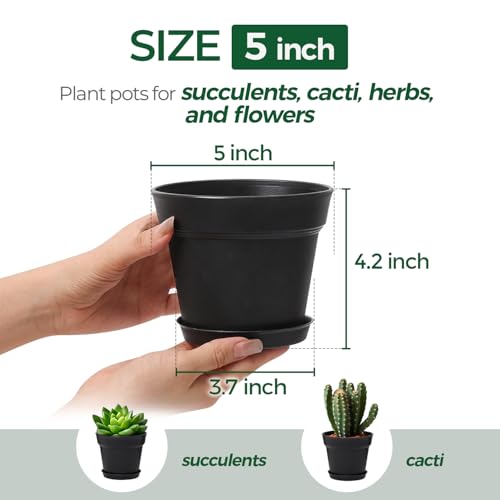 T4U Small Plant Pots 5 Inch 8 Pack, Plastic Indoor Flower Pots Saucer Black | Succulent cactus herbs, Desk windowsill shelf, Snake tongue seedling, Mini compact lightweight - color: Black, size: 5 inch