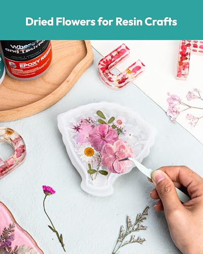 Dried Flowers, Resiners 100Pcs Pressed Flowers for Craft Baby Pink Real Natural Dried Flowers Dry Leaves Kit for DIY Making Crafts Resin Soap Candle Scrapbook Supplies Card Making Jewelry - color: Light Pink 100pcs