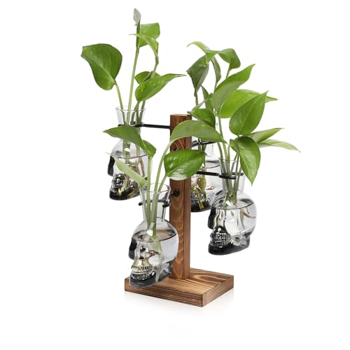 Plants Propagation Stations Skull Glass Propagation Birthday Gift for Women - color: Gray