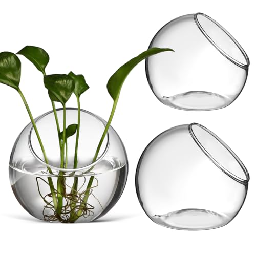 Mipcase 3 Pack Slanted Glass Terrarium Set, Clear Bubble Planter Globe