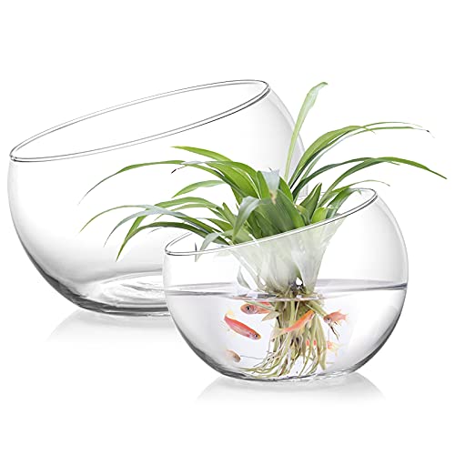 YOUEON 2 Pcs Glass Slant Cut Bowl Vase, 6.5" W x 5.5" H, 5.2" W x 4.8" H Clear Glass Terrarium Bowl for Plants, Succulent, Air Plant, Candy Bowls, Fruit Bowls for Centerpiece, Wedding, Home Decor