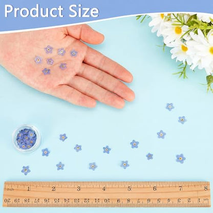 Nuanchu 50 Pieces Forget Me Not Dried Flowers Natural Real Pressed, Blue | for Resin Jewelry Making, Nail Art Decorations, Candle Card Crafts, DIY Ornaments, Pressed Flower Projects, Botanical