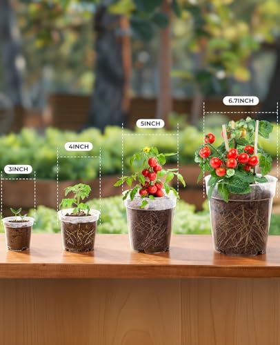 homenote 3/4/5/6.7 Inch Clear PP Nursery Pots with Drainage Holes (36 Pcs) - color: Transparency-no Lid, size: 3/4/5/6.7 Inch