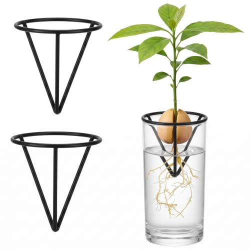 2 Pcs Avocado Seed Germination Stand, Plant Rooting Vase Support, Multipurpose Propagation Kit for Vegetables and Fruits, Sturdy Metal Frame for Indoor Gardening (Jars Not Included)