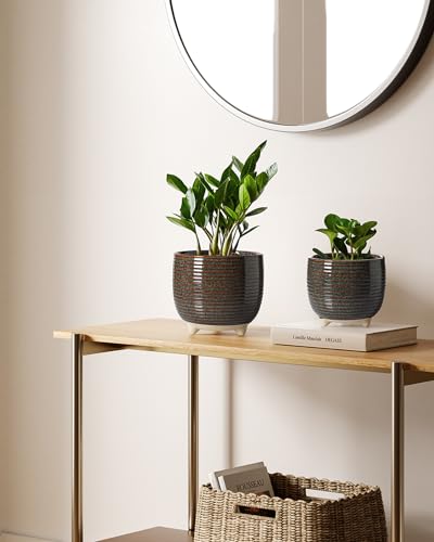 LE TAUCI Ceramic Plant Pots, 5.1 + 6.4 Inch Footed Pots for Plants, Modern Flower Pots for Home and Office, Indoor Planters with Drainage, Reactive Glaze Black - color: Reactive Glaze Black