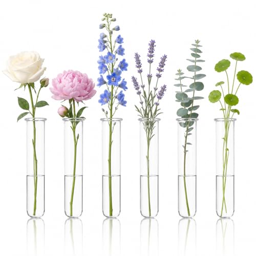 Homoyoyo 6 Pack Clear Glass Test Tube Vases 5.90 inch Hydroponic Plant Propagation Tubes for Water Cuttings Flower Arranging Desk Home and Office Decor