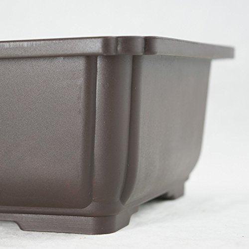 6 Mix Dark Brown Rectangular Plastic Bonsai Training Pot, Cactus & Succulent Planter - 5" to 10.5"